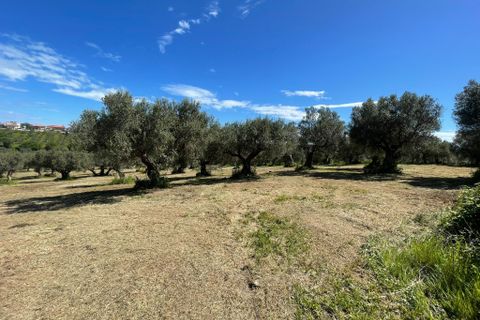 Villa i Paglieta, Chieti, Paglieta - € 59.000 | Ref: VR1198 - foto 11