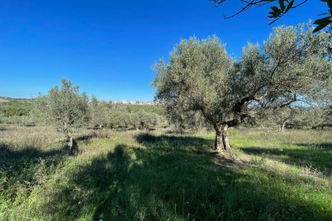 Villa i Paglieta, Chieti, Paglieta - € 59.000 | Ref: VR1198 - foto 13