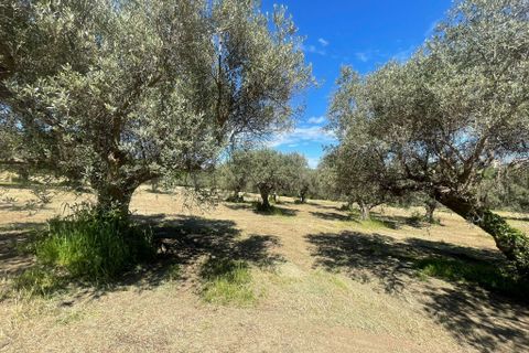 Villa i Paglieta, Chieti, Paglieta - € 59.000 | Ref: VR1198 - foto 16