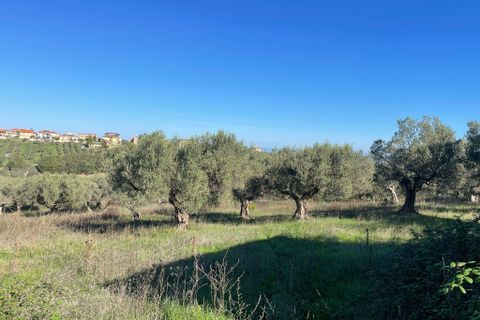 Villa i Paglieta, Chieti, Paglieta - € 59.000 | Ref: VR1198 - foto 18