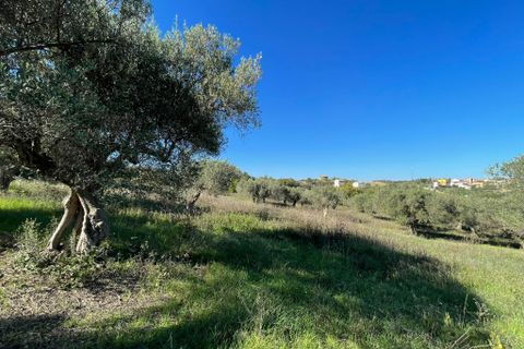 Villa i Paglieta, Chieti, Paglieta - € 59.000 | Ref: VR1198 - foto 19