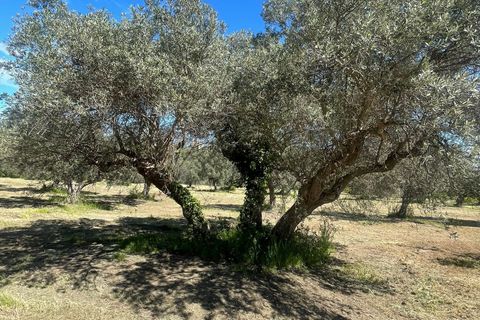 Villa i Paglieta, Chieti, Paglieta - € 59.000 | Ref: VR1198 - foto 20
