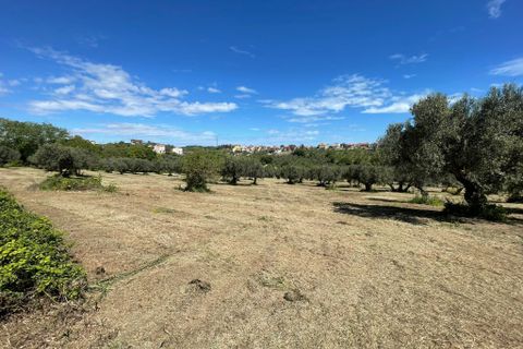 Villa i Paglieta, Chieti, Paglieta - € 59.000 | Ref: VR1198 - foto 22