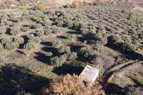 Villa i Paglieta, Chieti, Paglieta - € 59.000 | Ref: VR1198 - foto 4