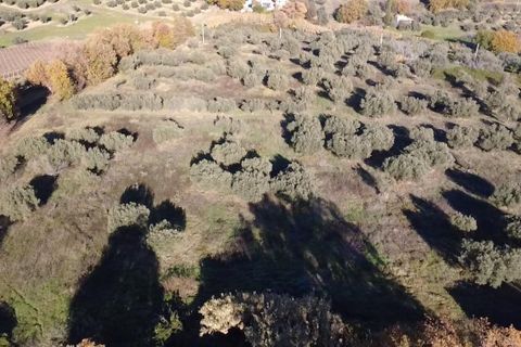Villa i Paglieta, Chieti, Paglieta - € 59.000 | Ref: VR1198 - foto 5