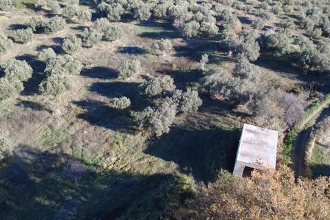 Villa i Paglieta, Chieti, Paglieta - € 59.000 | Ref: VR1198 - foto 6