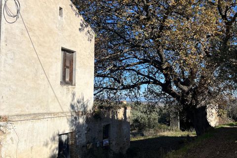 Villa i Paglieta, Chieti, Paglieta - € 59.000 | Ref: VR1198 - foto 25