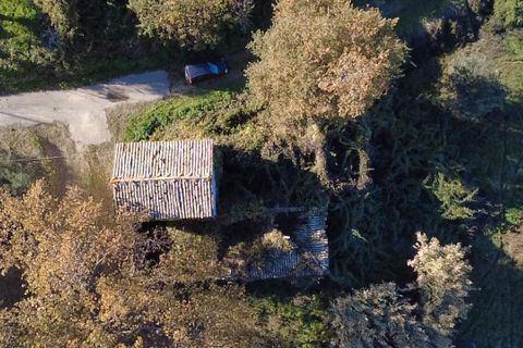 Villa i Paglieta, Chieti, Paglieta - € 59.000 | Ref: VR1198 - foto 26