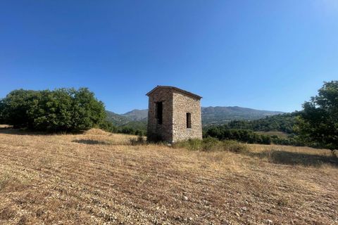 Terra a Champtercier, Alpes-de-Haute-Provence, Champtercier - € 36.000 | Ref: 428934THO - foto 2