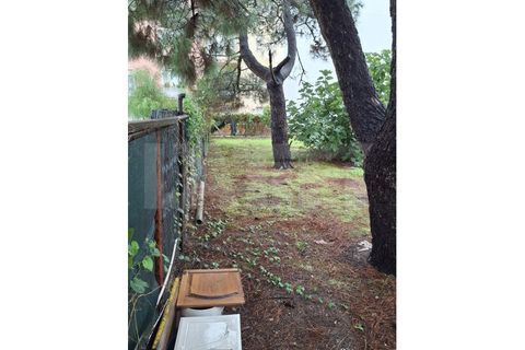 Helårsgrund i Quinta do Conde, Setubal, Quinta do Conde - € 140.000 | Ref: 313.016.010 - foto 2