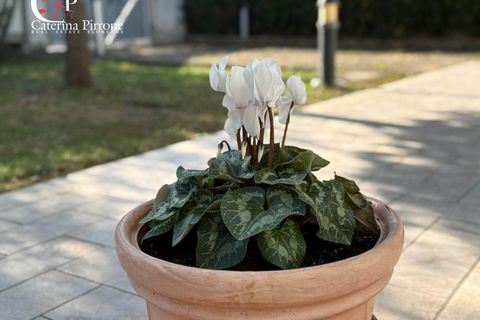 Villa i Cecina, Livorno, Cecina - € 738.000 | Ref: CV-PA165 - foto 26