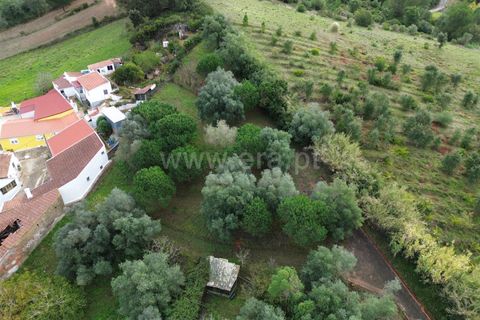 Helårsgrund i Torres Vedras, Lisbon, Torres Vedras - € 69.000 | Ref: 295250109 - foto 5