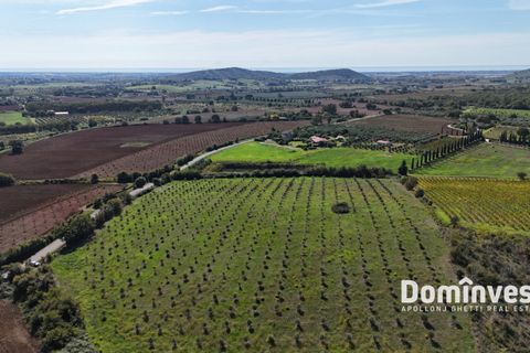 Helårsgrund i Capalbio, Grosseto, Capalbio - € 430.000 | Ref: v-224 - foto 2