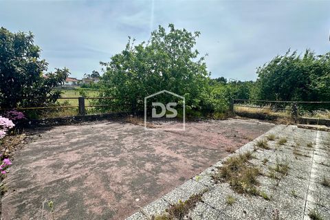 Farm i Moncao, Viana do Castelo, Moncao - € 430.000 | Ref: DSIMONC668 - foto 5