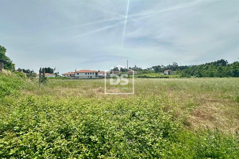 Farm i Moncao, Viana do Castelo, Moncao - € 430.000 | Ref: DSIMONC668 - foto 2