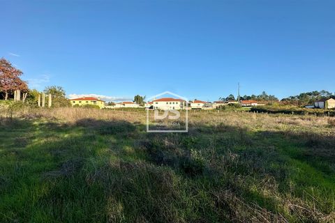 Farm i Moncao, Viana do Castelo, Moncao - € 430.000 | Ref: DSIMONC668 - foto 3