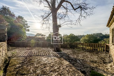 Landejendom i Melgaco, Viana do Castelo, Melgaco - € 160.000 | Ref: DSIMONC665 - foto 18