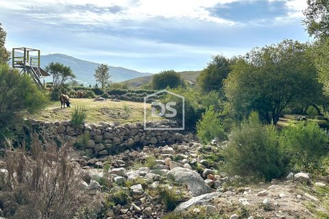 Landejendom i Melgaco, Viana do Castelo, Melgaco - € 160.000 | Ref: DSIMONC665 - foto 21