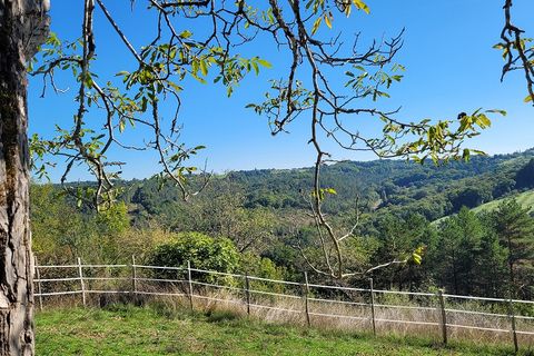 Villa i Plazac, Dordogne, Plazac - € 376.000 | Ref: 428807.VIV - foto 2