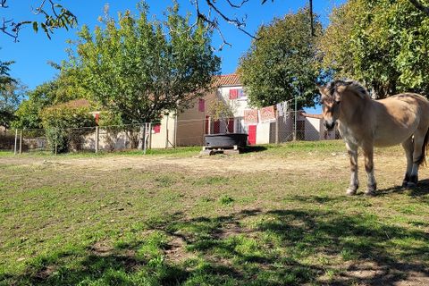 Villa i Plazac, Dordogne, Plazac - € 376.000 | Ref: 428807.VIV - foto 4