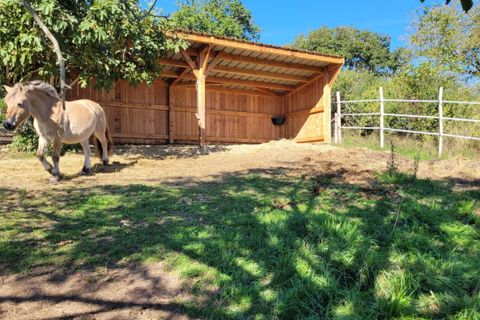 Villa i Plazac, Dordogne, Plazac - € 376.000 | Ref: 428807.VIV - foto 5