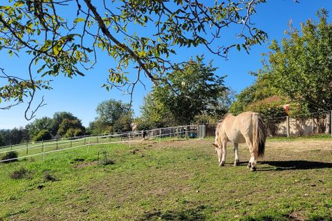 Villa i Plazac, Dordogne, Plazac - € 376.000 | Ref: 428807.VIV - foto 7