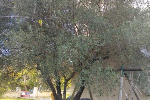 Villa i Quillan, Aude, Quillan - € 171.000 | Ref: 428610ANMB - foto 14