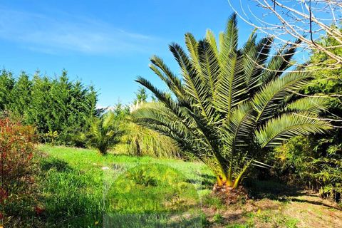 Helårsgrund i Cupello, Chieti, Cupello - € 55.000 | Ref: TA43 - foto 1