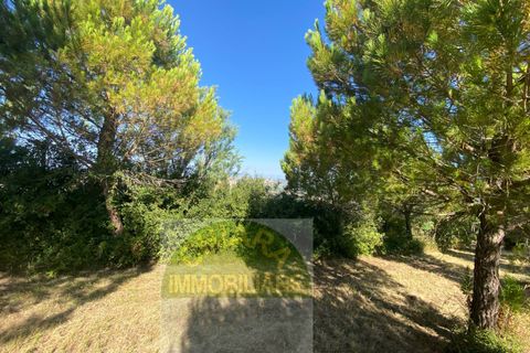 Helårsgrund i Cupello, Chieti, Cupello - € 55.000 | Ref: TA43 - foto 6