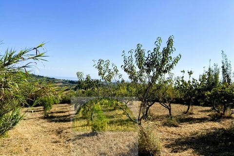Helårsgrund i Cupello, Chieti, Cupello - € 55.000 | Ref: TA43 - foto 10