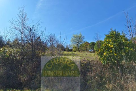 Helårsgrund i Cupello, Chieti, Cupello - € 55.000 | Ref: TA43 - foto 12