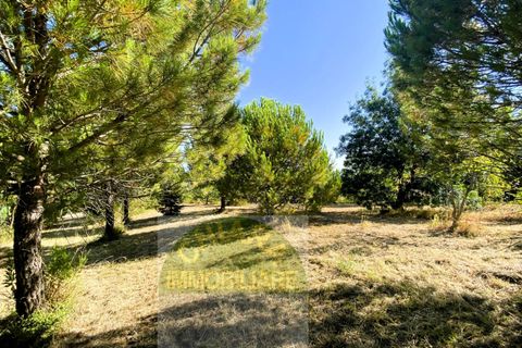 Helårsgrund i Cupello, Chieti, Cupello - € 55.000 | Ref: TA43 - foto 14