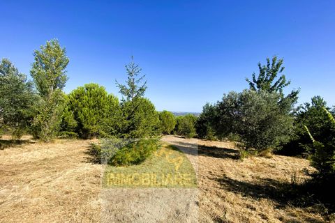Helårsgrund i Cupello, Chieti, Cupello - € 55.000 | Ref: TA43 - foto 15