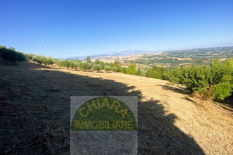 Helårsgrund i Cupello, Chieti, Cupello - € 55.000 | Ref: TA43 - foto 19