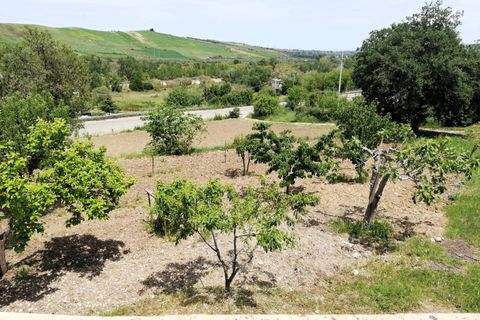 Villa a Gissi, Chieti, Gissi - € 79.000 | Ref: 502FL - foto 31