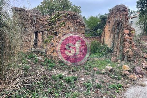 Helårsgrund i Anadia, Aveiro, Anadia - € 10.000 | Ref: 010101062 - foto 6