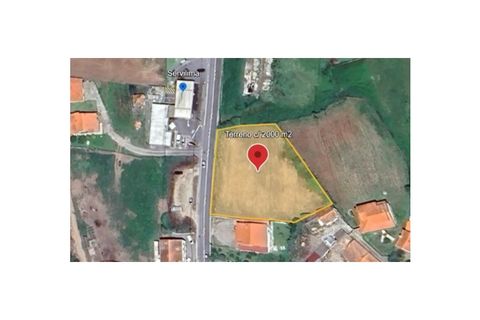 Helårsgrund i Belinho, Braga, Belinho - € 92.500 | Ref: 4413(1) - foto 10