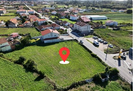 Helårsgrund i Belinho, Braga, Belinho - € 92.500 | Ref: 4413(1) - foto 3