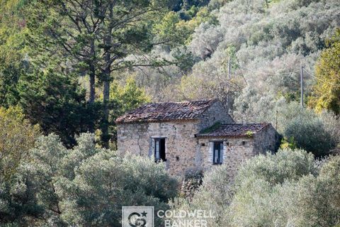Herregård i Omignano, Salerno, Omignano - € 58 000 | Ref: CBI090-888-121 - foto 3