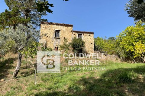 Herregård i Omignano, Salerno, Omignano - € 58 000 | Ref: CBI090-888-121 - foto 4