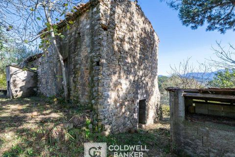 Herregård i Omignano, Salerno, Omignano - € 58 000 | Ref: CBI090-888-121 - foto 5