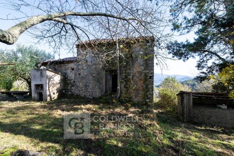 Herregård i Omignano, Salerno, Omignano - € 58 000 | Ref: CBI090-888-121 - foto 12