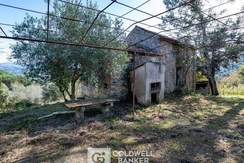 Herregård i Omignano, Salerno, Omignano - € 58 000 | Ref: CBI090-888-121 - foto 13