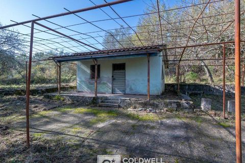 Herregård i Omignano, Salerno, Omignano - € 58 000 | Ref: CBI090-888-121 - foto 14