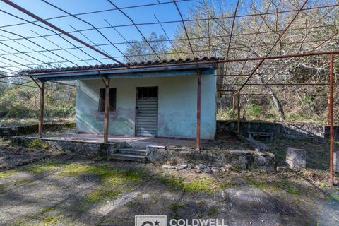 Herregård i Omignano, Salerno, Omignano - € 58 000 | Ref: CBI090-888-121 - foto 15