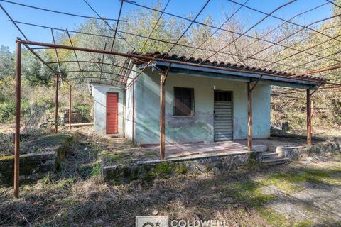 Herregård i Omignano, Salerno, Omignano - € 58 000 | Ref: CBI090-888-121 - foto 16