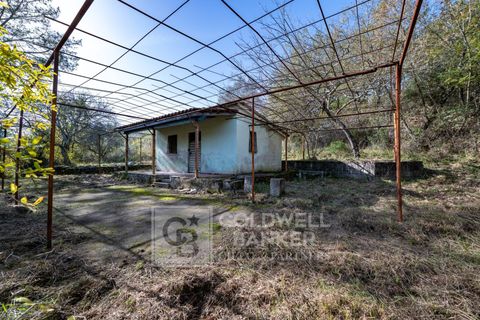 Herregård i Omignano, Salerno, Omignano - € 58 000 | Ref: CBI090-888-121 - foto 17