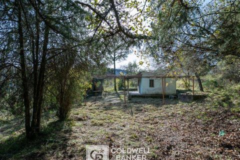 Herregård i Omignano, Salerno, Omignano - € 58 000 | Ref: CBI090-888-121 - foto 18