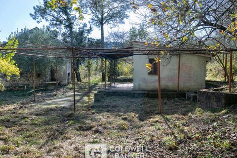 Herregård i Omignano, Salerno, Omignano - € 58 000 | Ref: CBI090-888-121 - foto 19
