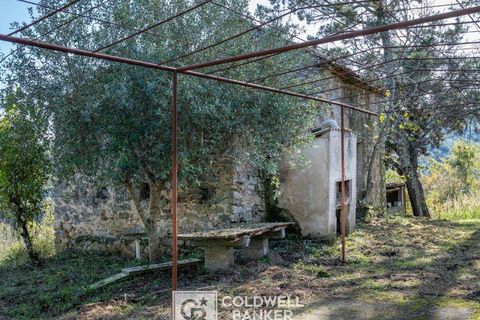 Herregård i Omignano, Salerno, Omignano - € 58 000 | Ref: CBI090-888-121 - foto 20